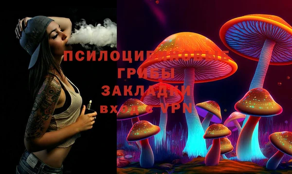 герыч Богородск