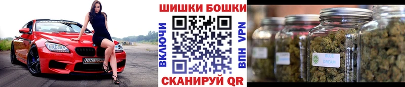 Шишки марихуана OG Kush  Елизаветинская 